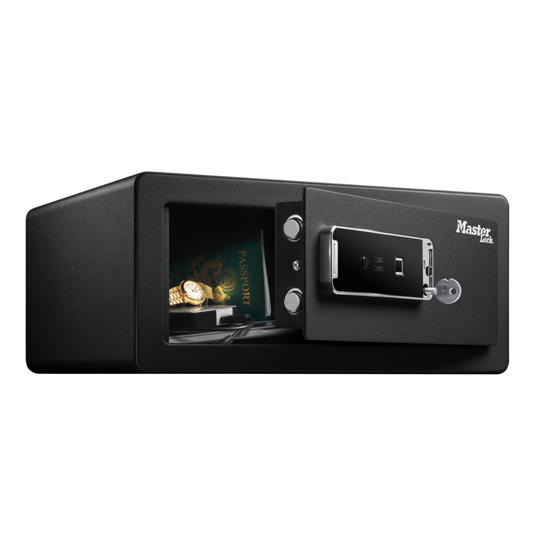 Large biometric security safe