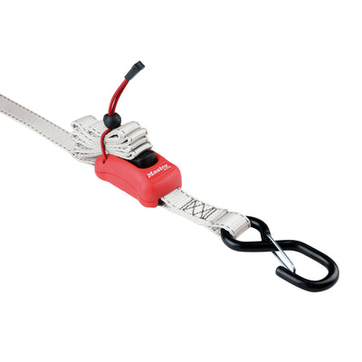 2,50m x 25mm spring clam tie down; 1 pack; grey