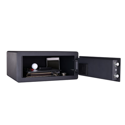 Large biometric security safe