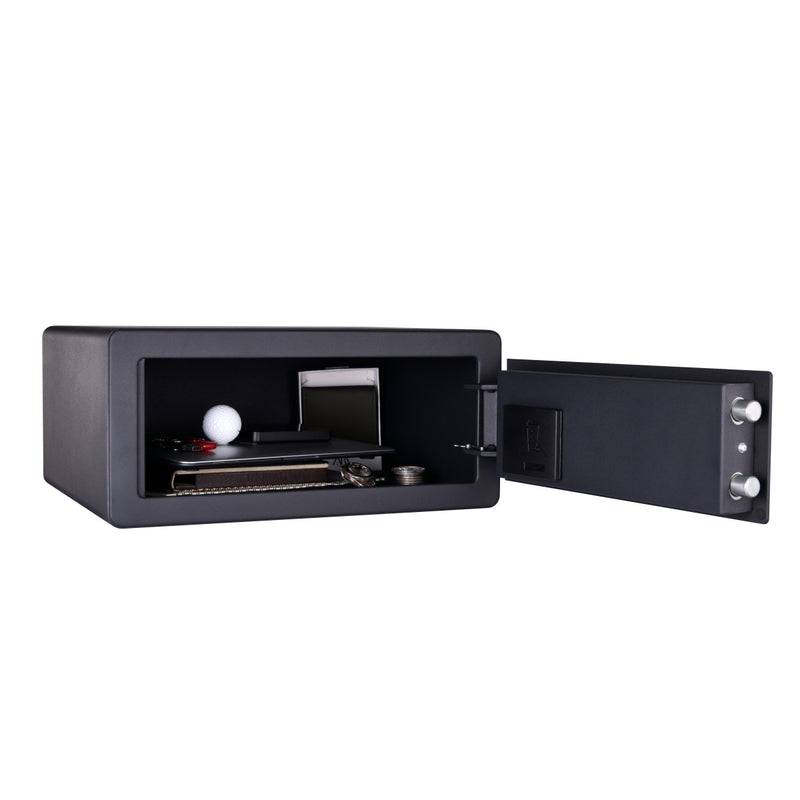 Large biometric security safe
