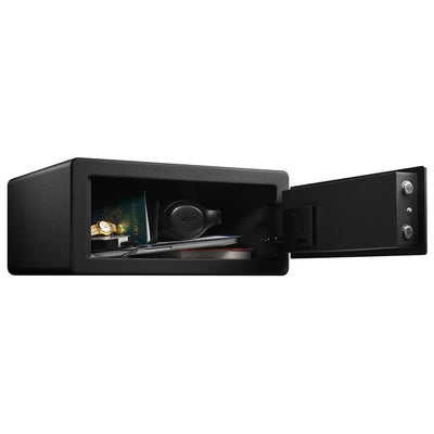 Large biometric security safe